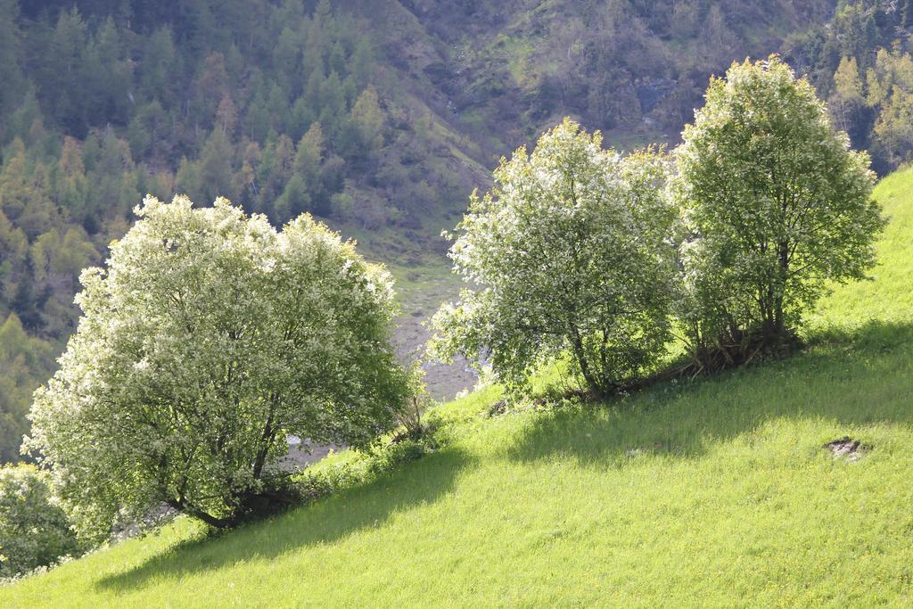 Apart Gletscherblick Kaunertal Exteriér fotografie