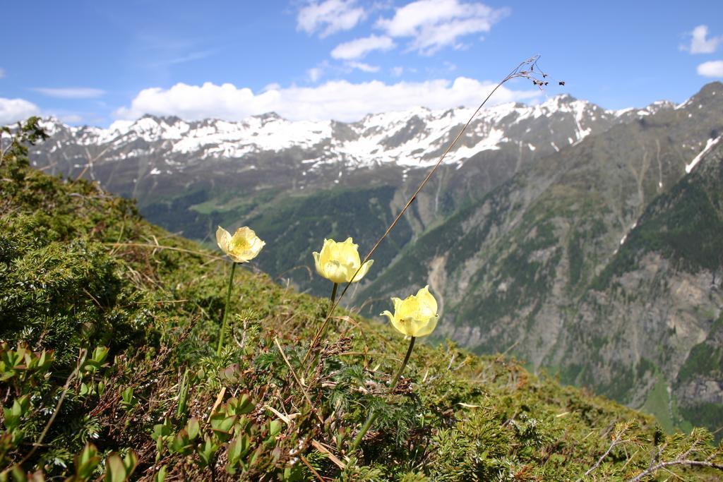 Apart Gletscherblick Kaunertal Exteriér fotografie