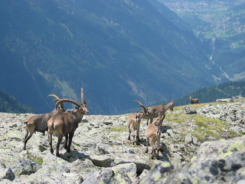 Apart Gletscherblick Kaunertal Exteriér fotografie